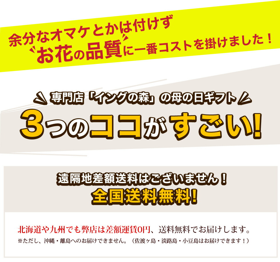 イングの森様 母の日カーネーション特集ページ