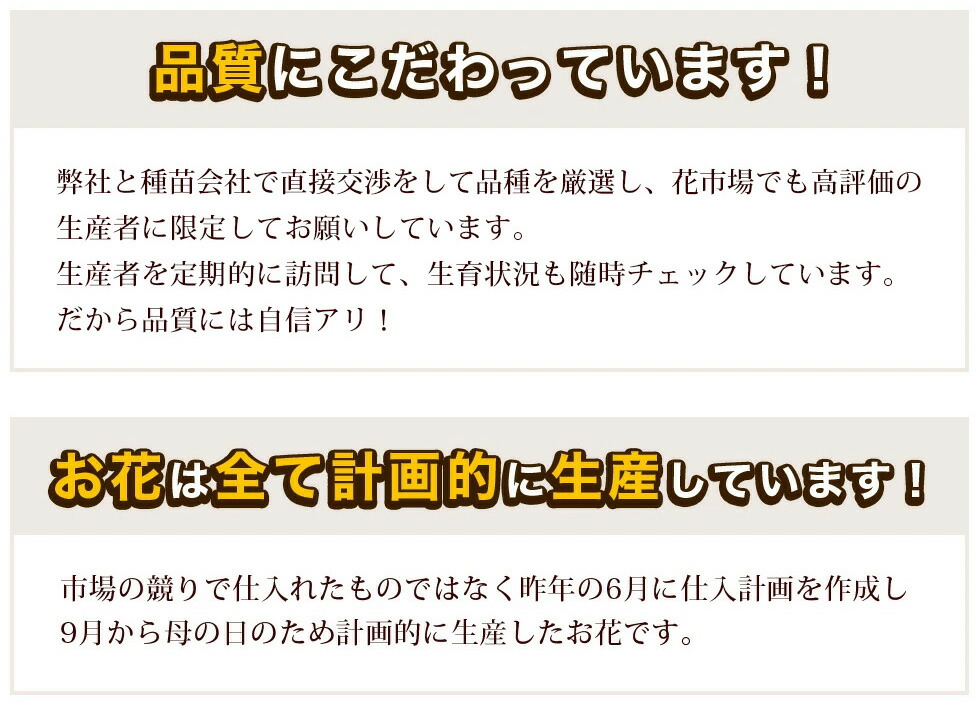 イングの森様 母の日カーネーション特集ページ