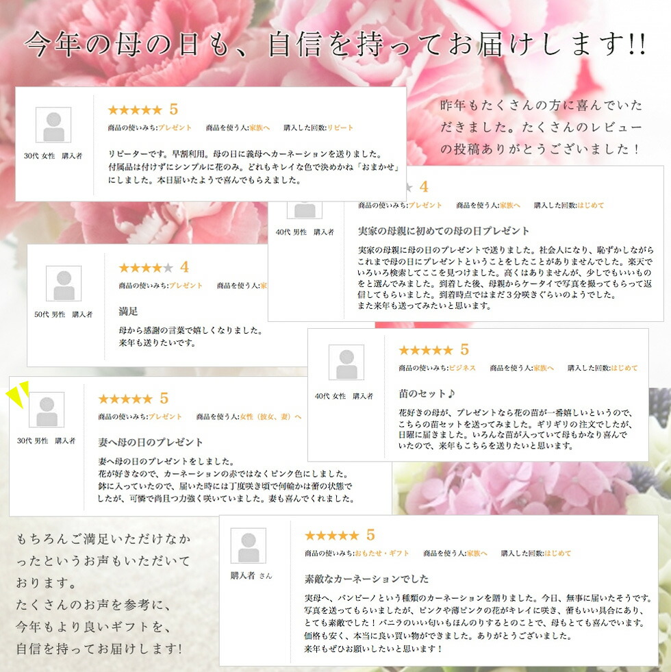 イングの森様 母の日カーネーション特集ページ