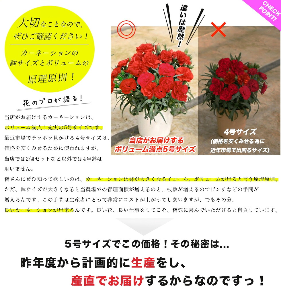 イングの森様 母の日カーネーション特集ページ