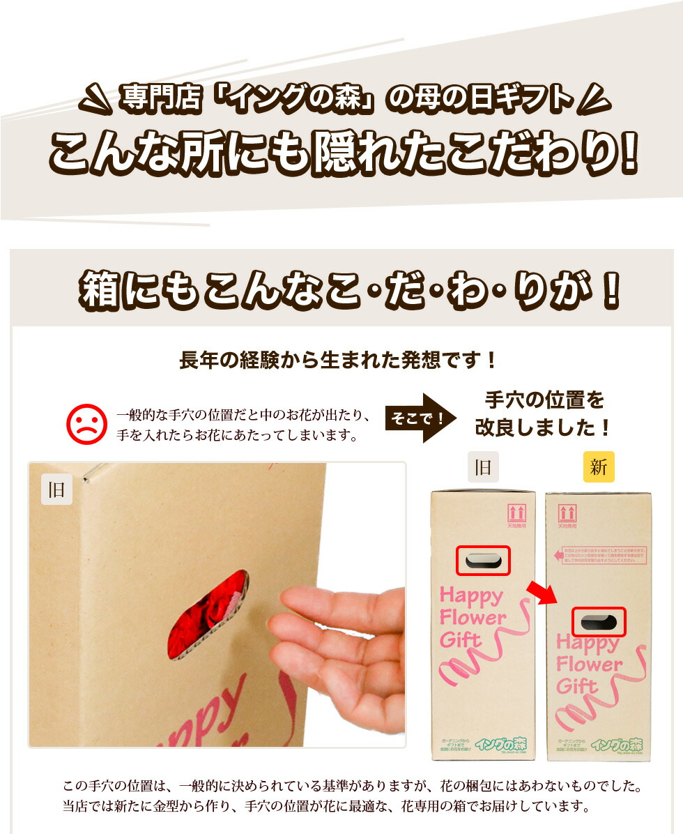 イングの森様 母の日カーネーション特集ページ