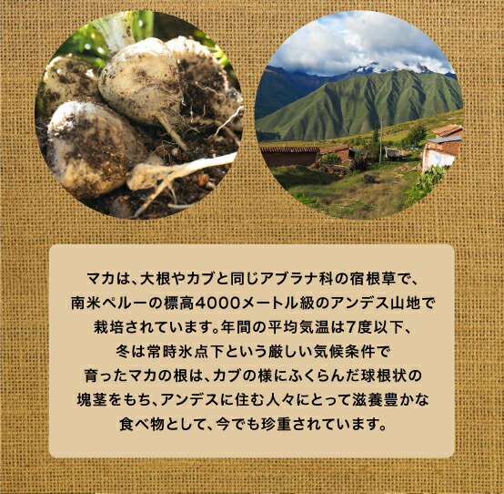 ミツワ酒販様 ヘパプラス ライジング 商品ページ